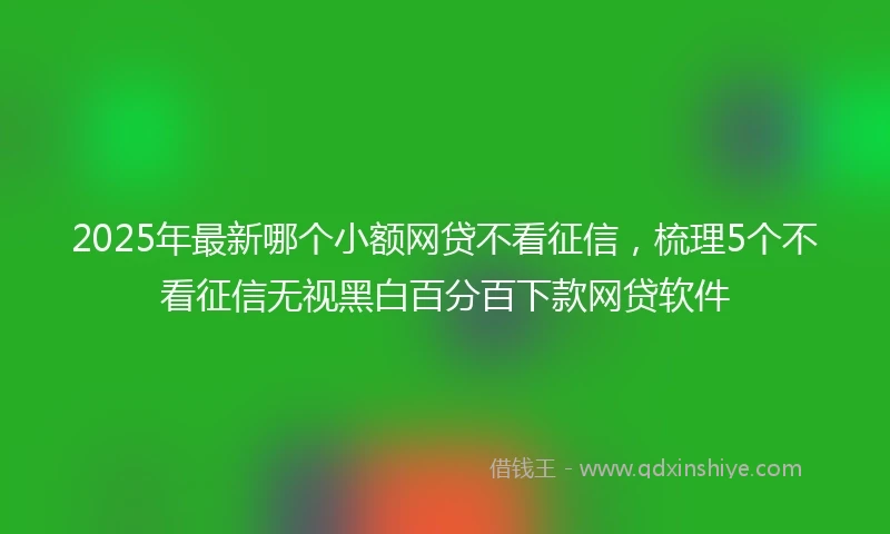 2025年最新哪个小额网贷不看征信，梳理5个不看征信无视黑白百分百下款网贷软件