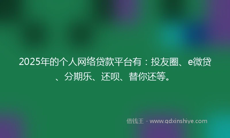 2025年的个人网络贷款平台有：投友圈、e微贷、分期乐、还呗、替你还等。
