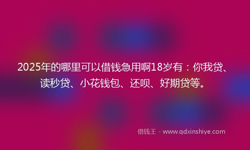 2025年的哪里可以借钱急用啊18岁有：你我贷、读秒贷、小花钱包、还呗、好期贷等。