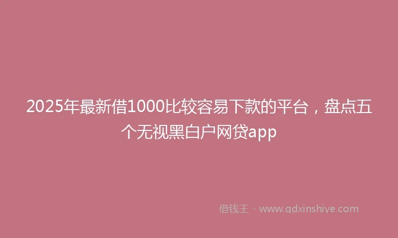 2025年最新借1000比较容易下款的平台，盘点五个无视黑白户网贷app