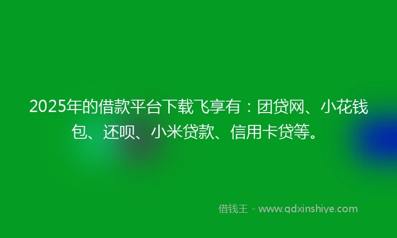 2025年的借款平台下载飞享有：团贷网、小花钱包、还呗、小米贷款、信用卡贷等。