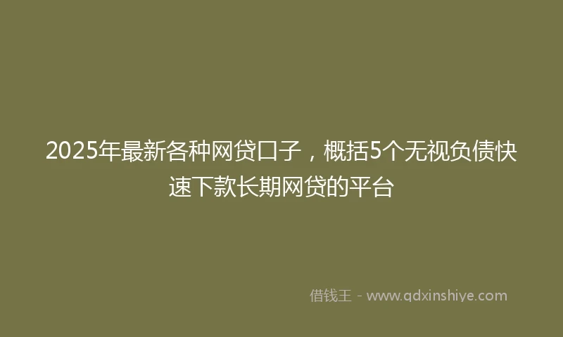 2025年最新各种网贷口子，概括5个无视负债快速下款长期网贷的平台
