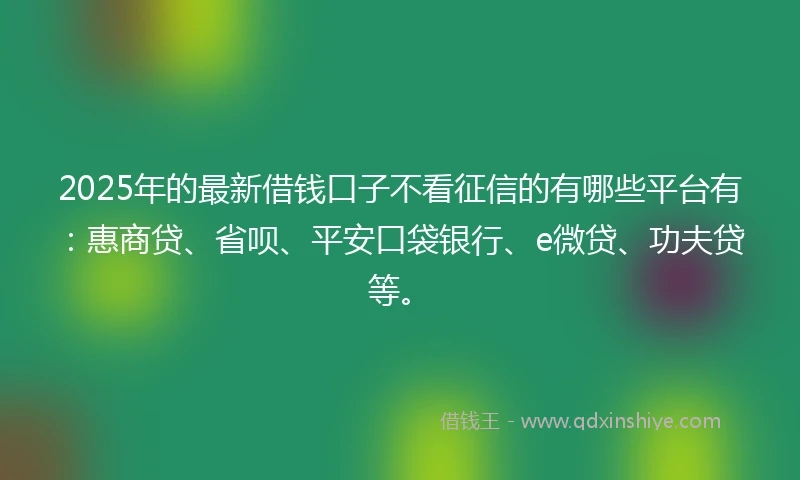 2025年的最新借钱口子不看征信的有哪些平台有：惠商贷、省呗、平安口袋银行、e微贷、功夫贷等。