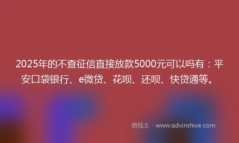 2025年的不查征信直接放款5000元可以吗有：平安口袋银行、e微贷、花呗、还呗、快贷通等。