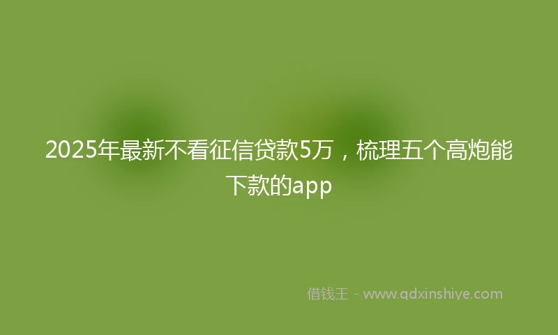 2025年最新不看征信贷款5万，梳理五个高炮能下款的app