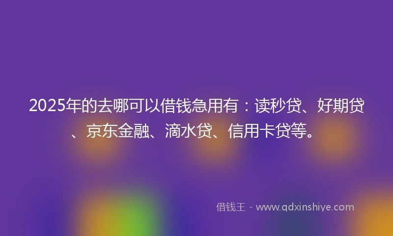 2025年的去哪可以借钱急用有：读秒贷、好期贷、京东金融、滴水贷、信用卡贷等。