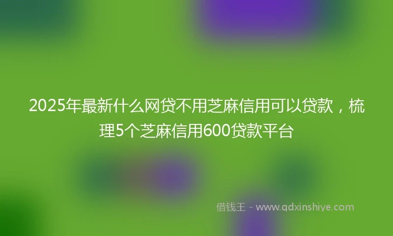 2025年最新什么网贷不用芝麻信用可以贷款，梳理5个芝麻信用600贷款平台