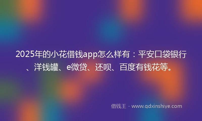 2025年的小花借钱app怎么样有:平安口袋银行、洋钱罐、e微贷、还呗、百度有钱花等。