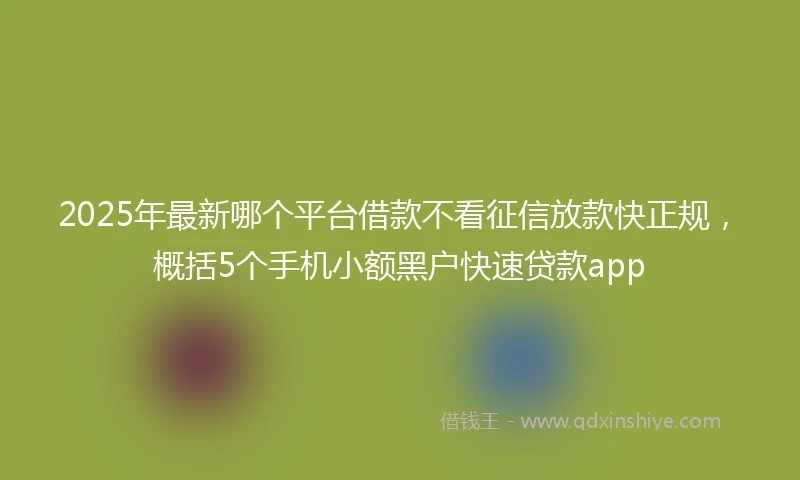 2025年最新哪个平台借款不看征信放款快正规，概括5个手机小额黑户快速贷款app
