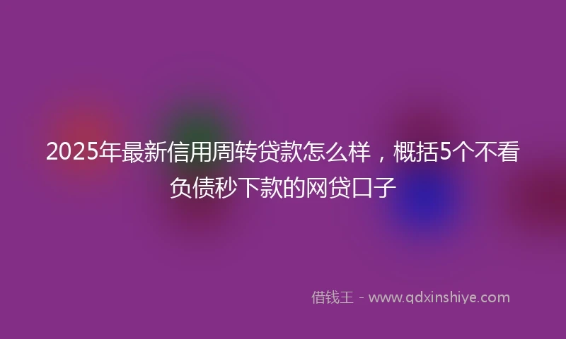 2025年最新信用周转贷款怎么样，概括5个不看负债秒下款的网贷口子