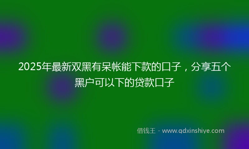2025年最新双黑有呆帐能下款的口子，分享五个黑户可以下的贷款口子