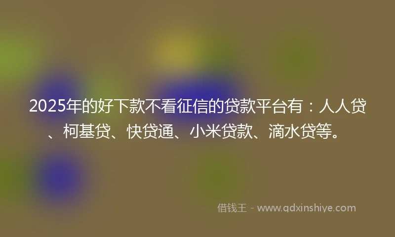 2025年的好下款不看征信的贷款平台有:人人贷、柯基贷、快贷通、小米贷款、滴水贷等。