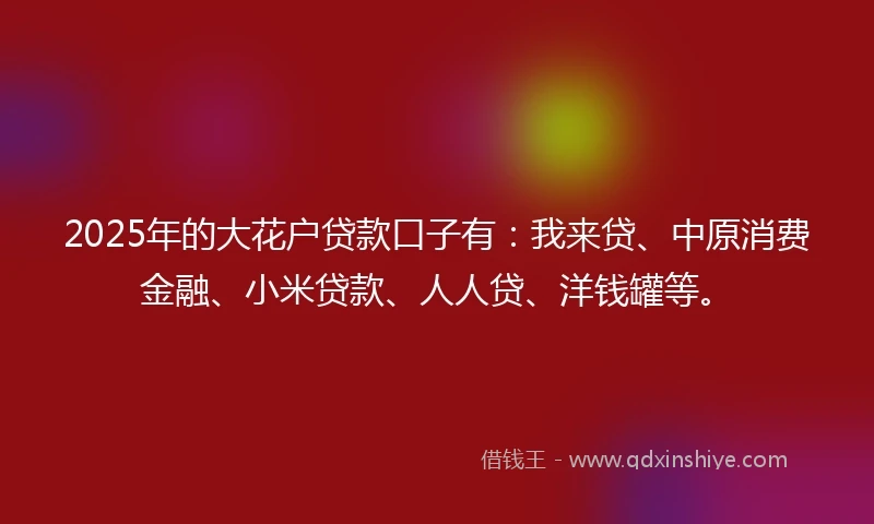 2025年的大花户贷款口子有：我来贷、中原消费金融、小米贷款、人人贷、洋钱罐等。
