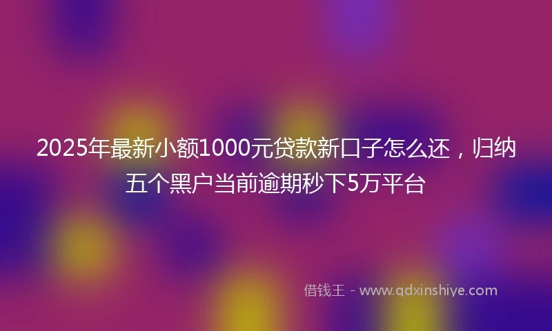 2025年最新小额1000元贷款新口子怎么还，归纳五个黑户当前逾期秒下5万平台