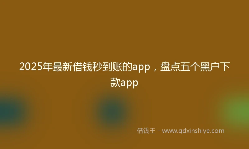 2025年最新借钱秒到账的app，盘点五个黑户下款app