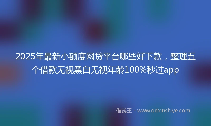 2025年最新小额度网贷平台哪些好下款，整理五个借款无视黑白无视年龄100%秒过app