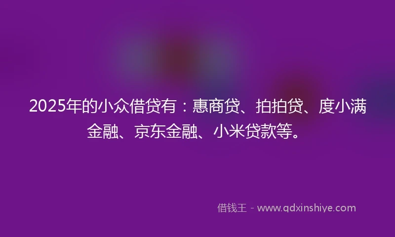 2025年的小众借贷有：惠商贷、拍拍贷、度小满金融、京东金融、小米贷款等。