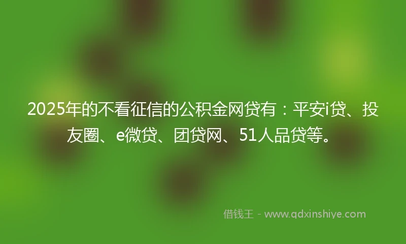2025年的不看征信的公积金网贷有：平安i贷、投友圈、e微贷、团贷网、51人品贷等。