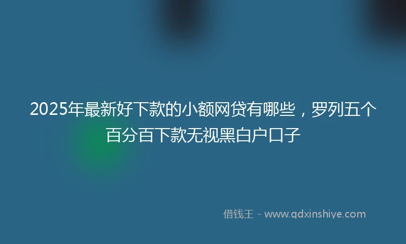 2025年最新好下款的小额网贷有哪些，罗列五个百分百下款无视黑白户口子