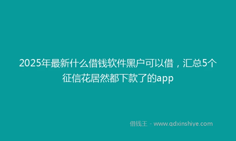 2025年最新什么借钱软件黑户可以借，汇总5个征信花居然都下款了的app