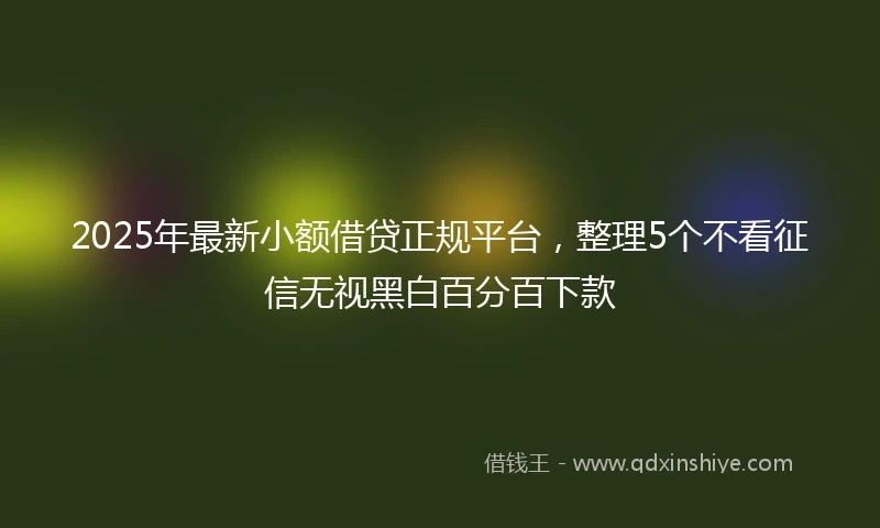 2025年最新小额借贷正规平台，整理5个不看征信无视黑白百分百下款