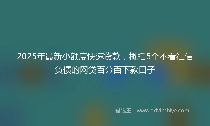 2025年最新小额度快速贷款，概括5个不看征信负债的网贷百分百下款口子