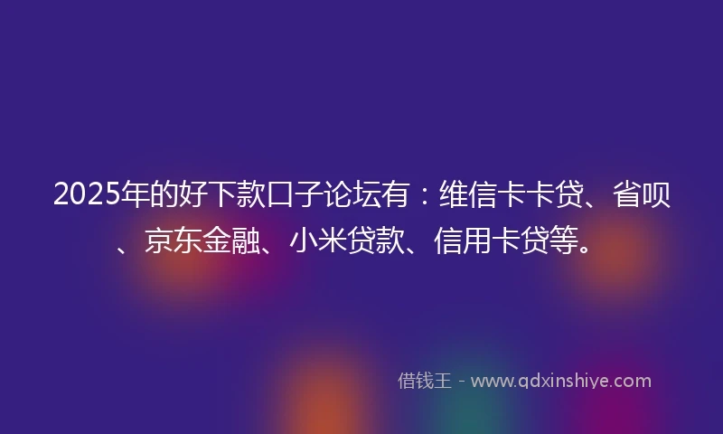 2025年的好下款口子论坛有：维信卡卡贷、省呗、京东金融、小米贷款、信用卡贷等。