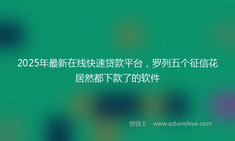 2025年最新在线快速贷款平台，罗列五个征信花居然都下款了的软件