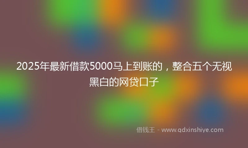 2025年最新借款5000马上到账的，整合五个无视黑白的网贷口子
