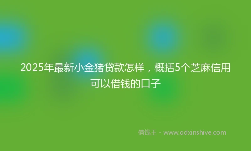 2025年最新小金猪贷款怎样，概括5个芝麻信用可以借钱的口子