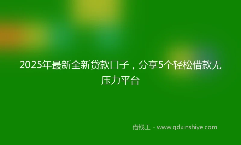 2025年最新全新贷款口子，分享5个轻松借款无压力平台