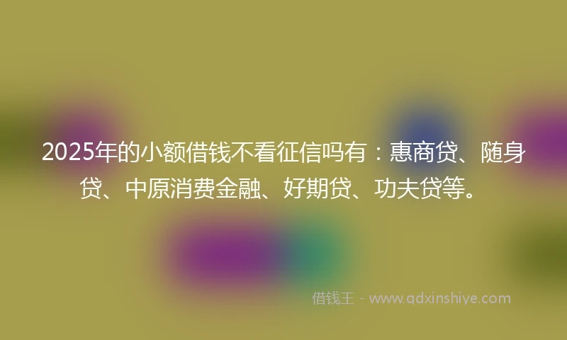 2025年的小额借钱不看征信吗有：惠商贷、随身贷、中原消费金融、好期贷、功夫贷等。