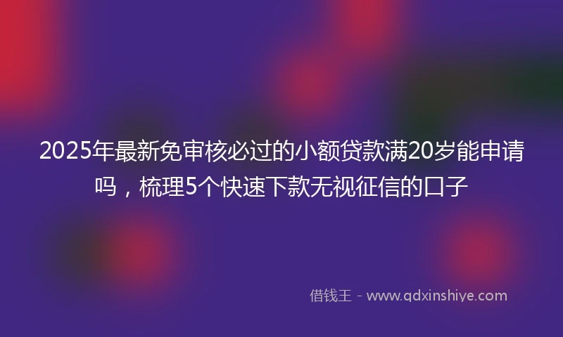 2025年最新免审核必过的小额贷款满20岁能申请吗，梳理5个快速下款无视征信的口子
