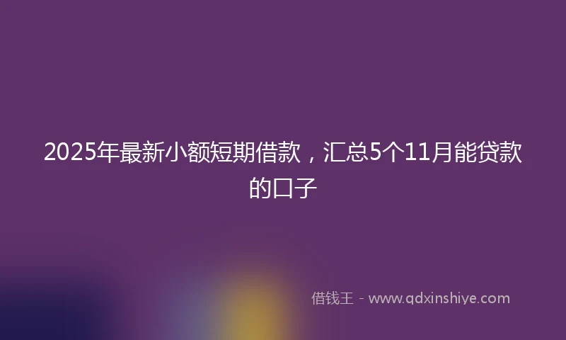 2025年最新小额短期借款，汇总5个11月能贷款的口子