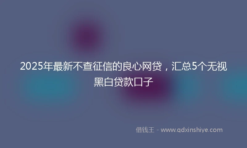 2025年最新不查征信的良心网贷，汇总5个无视黑白贷款口子