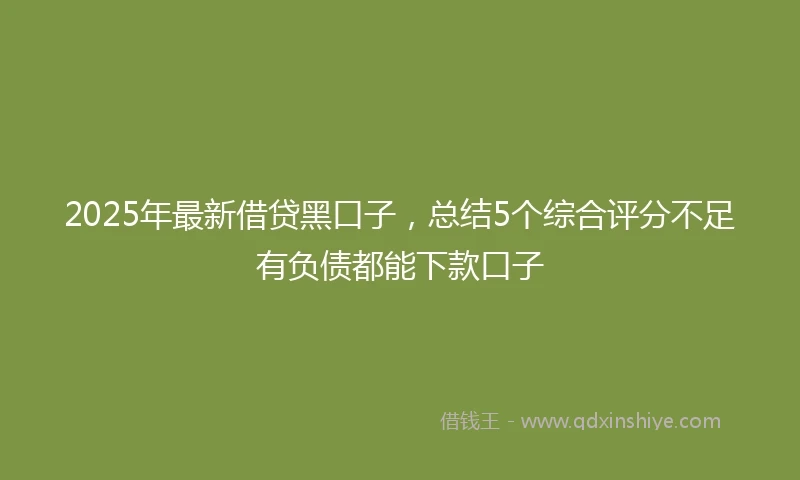 2025年最新借贷黑口子，总结5个综合评分不足有负债都能下款口子