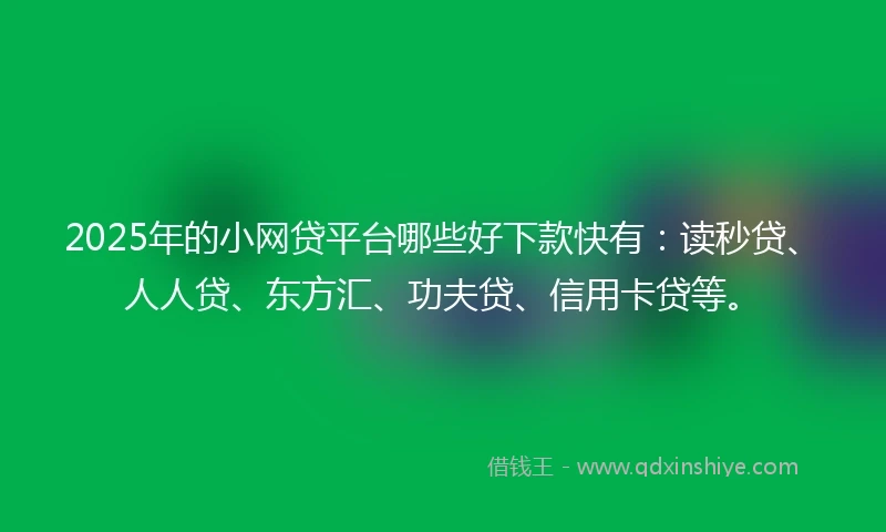 2025年的小网贷平台哪些好下款快有：读秒贷、人人贷、东方汇、功夫贷、信用卡贷等。