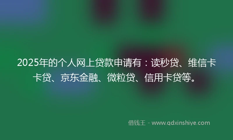 2025年的个人网上贷款申请有：读秒贷、维信卡卡贷、京东金融、微粒贷、信用卡贷等。