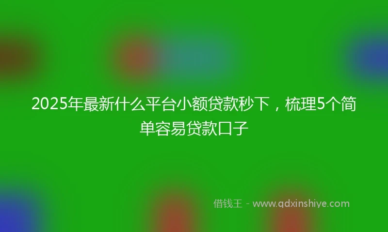 2025年最新什么平台小额贷款秒下，梳理5个简单容易贷款口子