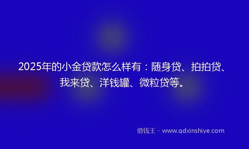 2025年的小金贷款怎么样有：随身贷、拍拍贷、我来贷、洋钱罐、微粒贷等。