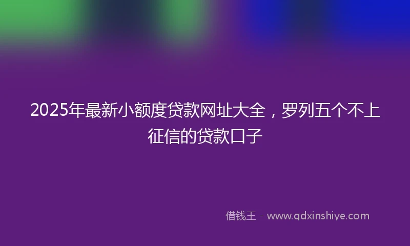 2025年最新小额度贷款网址大全，罗列五个不上征信的贷款口子