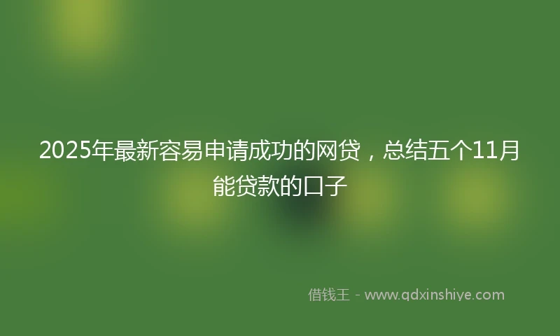 2025年最新容易申请成功的网贷，总结五个11月能贷款的口子