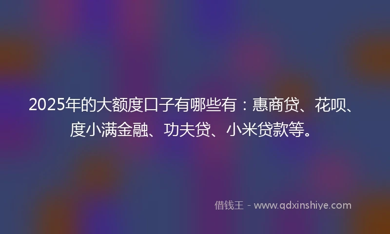 2025年的大额度口子有哪些有：惠商贷、花呗、度小满金融、功夫贷、小米贷款等。