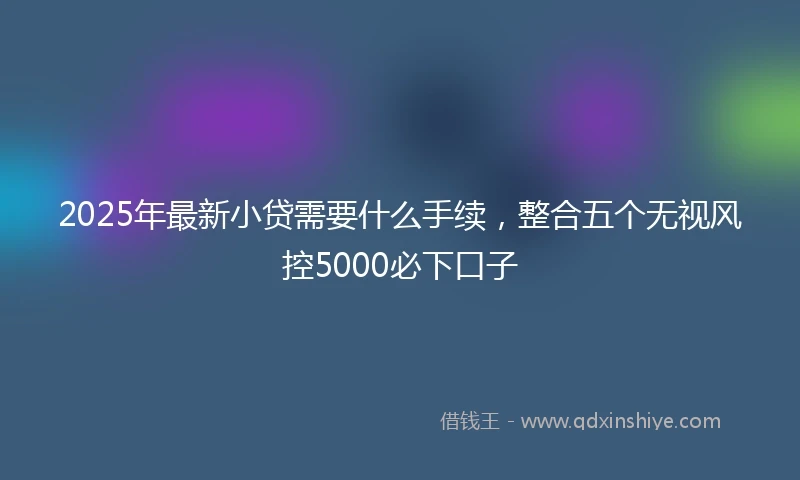 2025年最新小贷需要什么手续，整合五个无视风控5000必下口子
