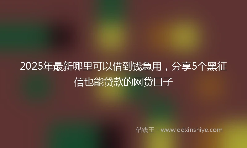 2025年最新哪里可以借到钱急用，分享5个黑征信也能贷款的网贷口子