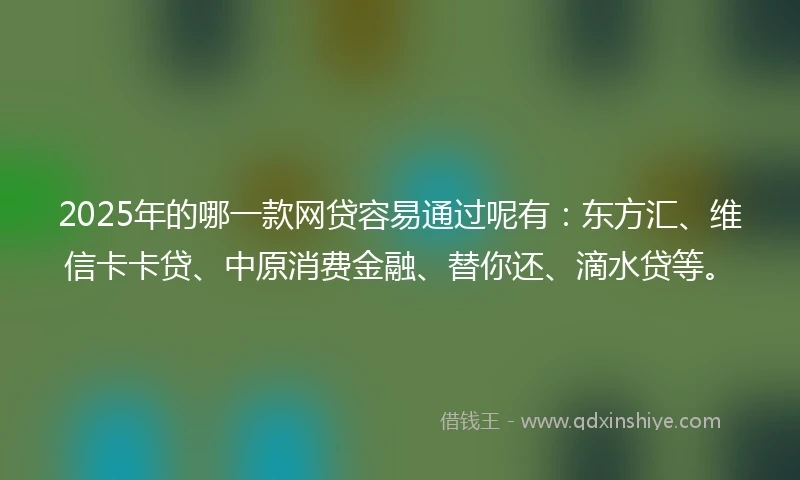 2025年的哪一款网贷容易通过呢有：东方汇、维信卡卡贷、中原消费金融、替你还、滴水贷等。