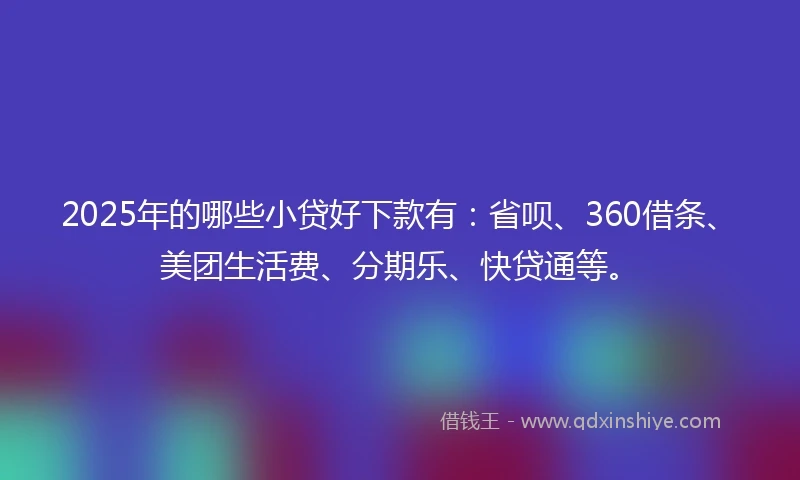 2025年的哪些小贷好下款有：省呗、360借条、美团生活费、分期乐、快贷通等。
