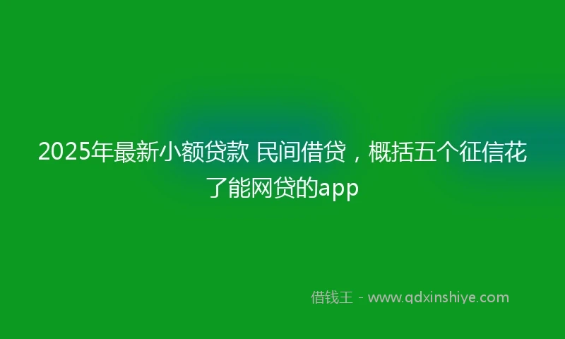 2025年最新小额贷款 民间借贷，概括五个征信花了能网贷的app