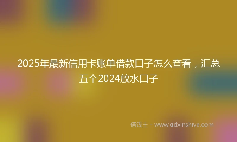 2025年最新信用卡账单借款口子怎么查看，汇总五个2024放水口子