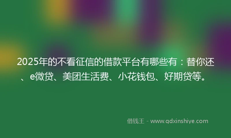 2025年的不看征信的借款平台有哪些有：替你还、e微贷、美团生活费、小花钱包、好期贷等。